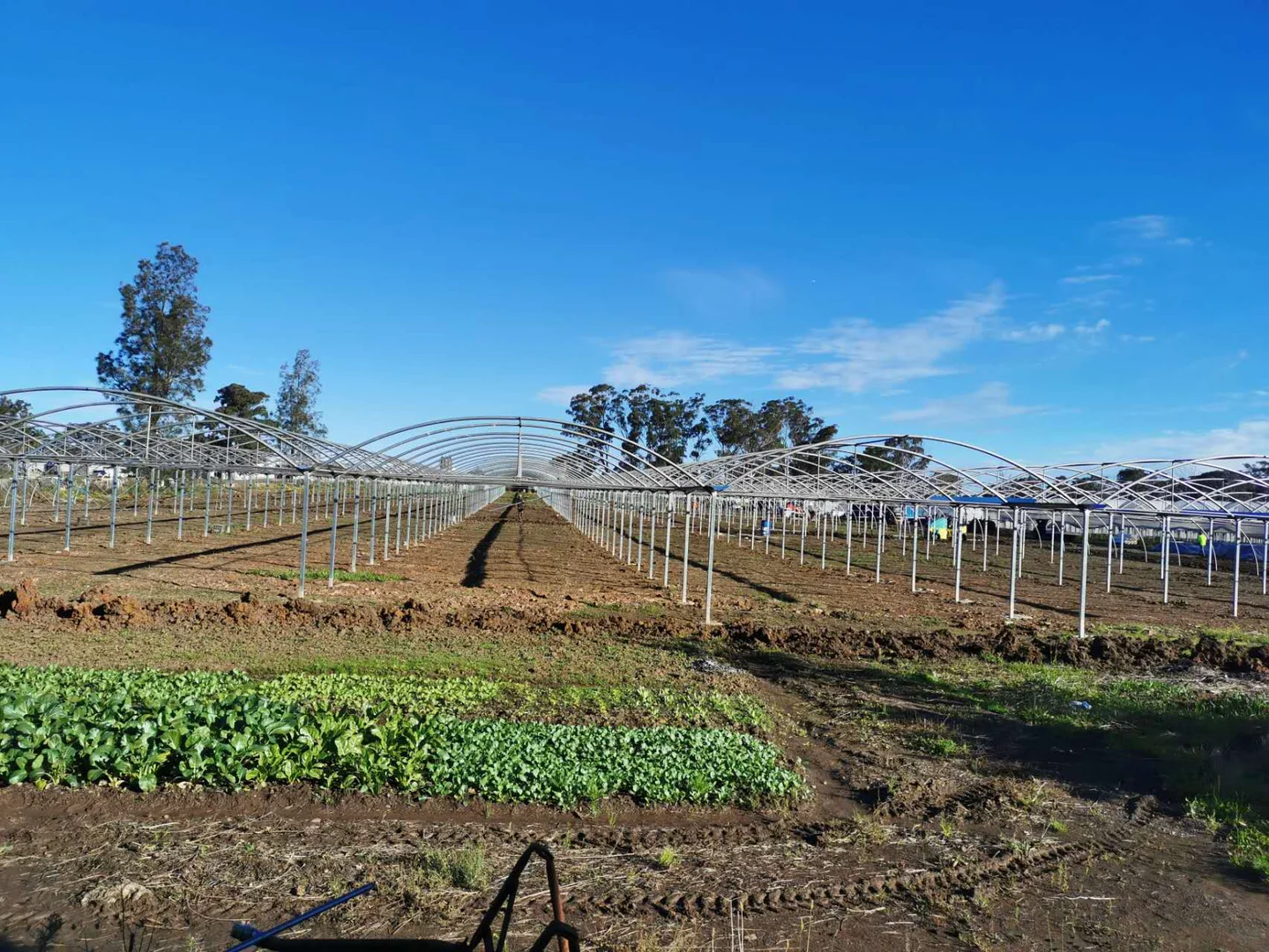 Additional image 8 of 30 Devonshire Road, Rossmore NSW 2557