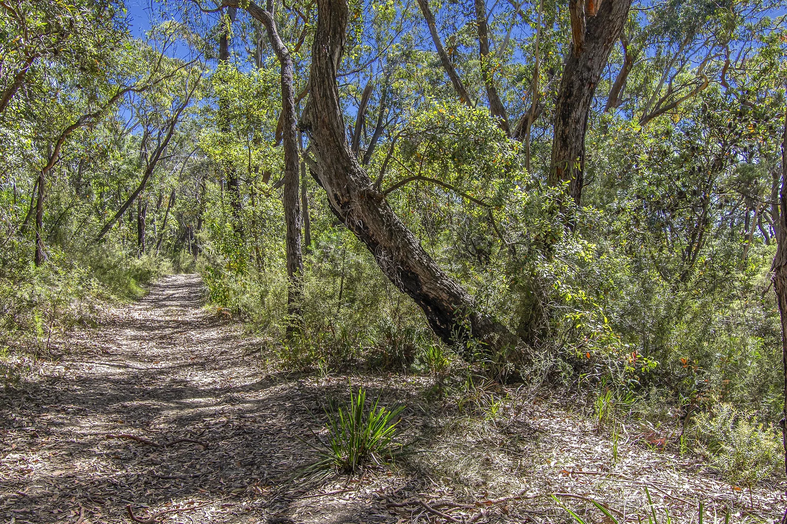 Additional image 7 of 167 Burralow Road, Kurrajong Heights NSW 2758