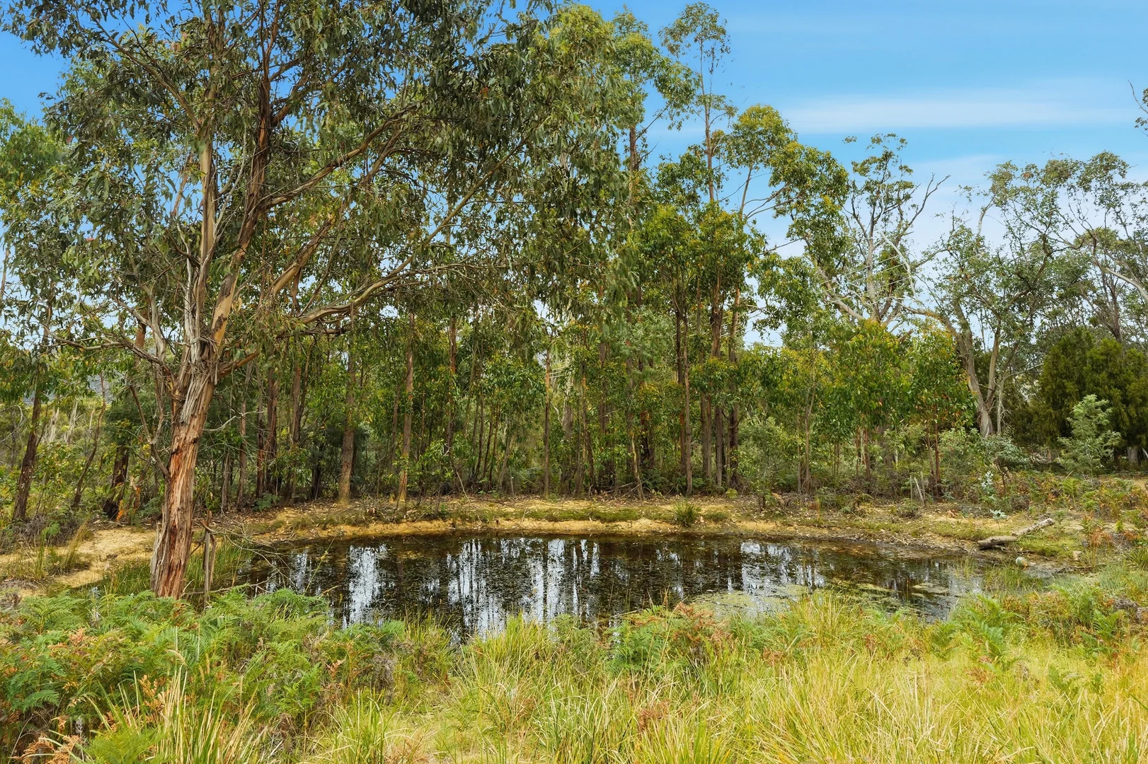 Additional image 28 of 859 Collins Cap Road, Molesworth TAS 7140