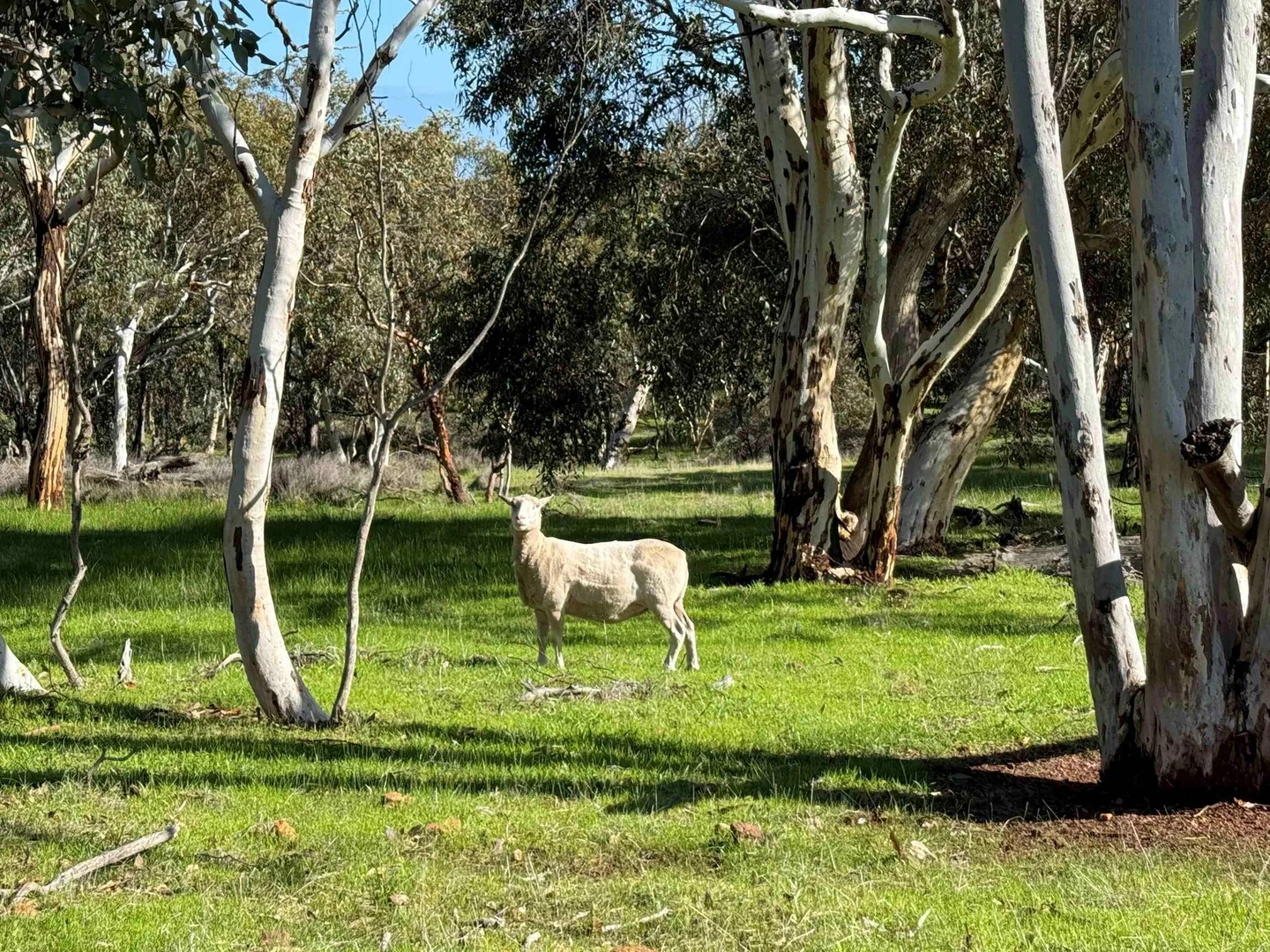 Additional image 10 of 55 Pen Road, Warradarge WA 6518