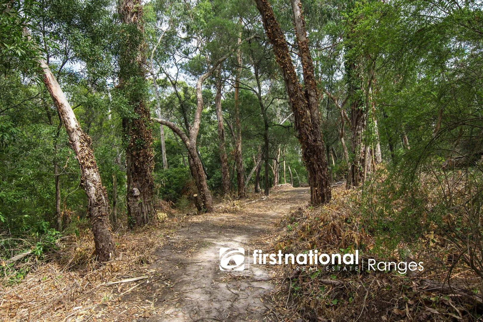 Additional image 15 of 103 Ferndale Road, Upwey VIC 3158