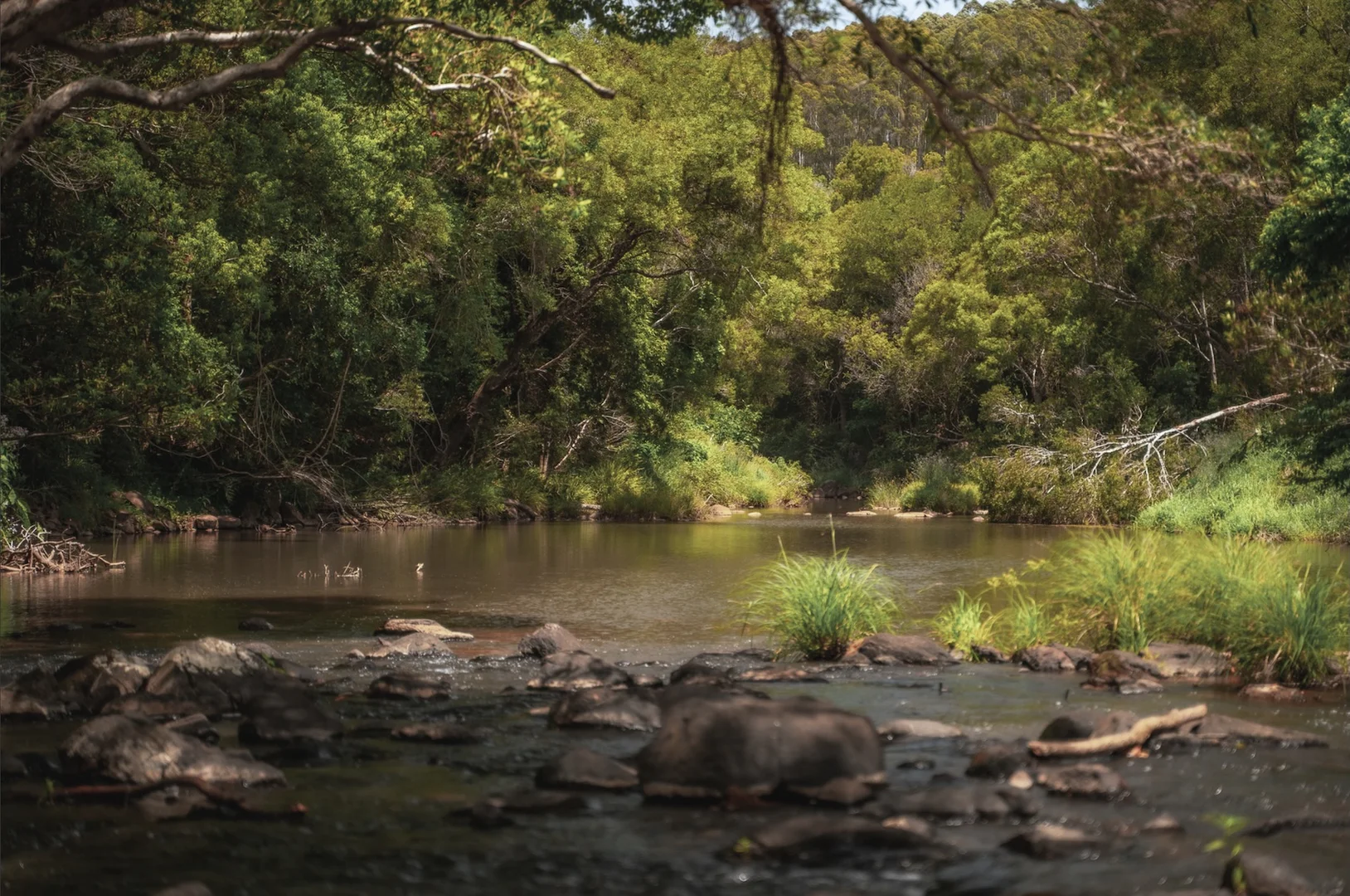 Additional image 23 of 315 Coorabell Road, Coorabell NSW 2479