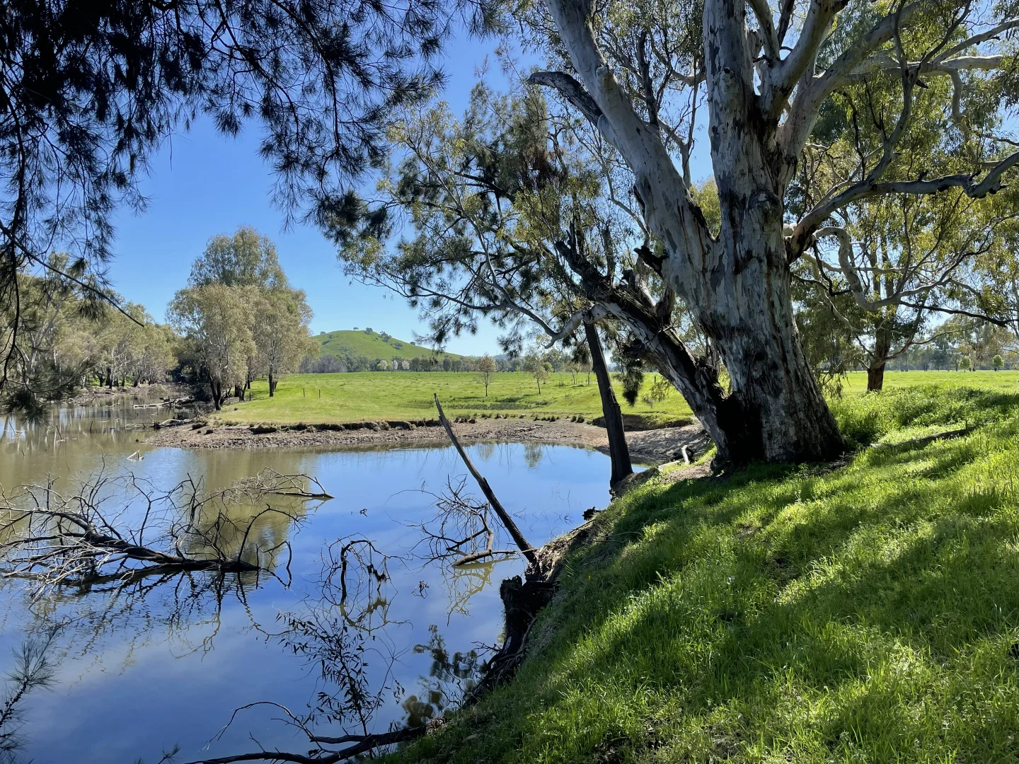 Additional image 41 of 44 Dodd Street, Gundagai NSW 2722