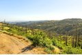 Additional image 16 of Pine Tree Ln, Berry Creek, CA, 95916