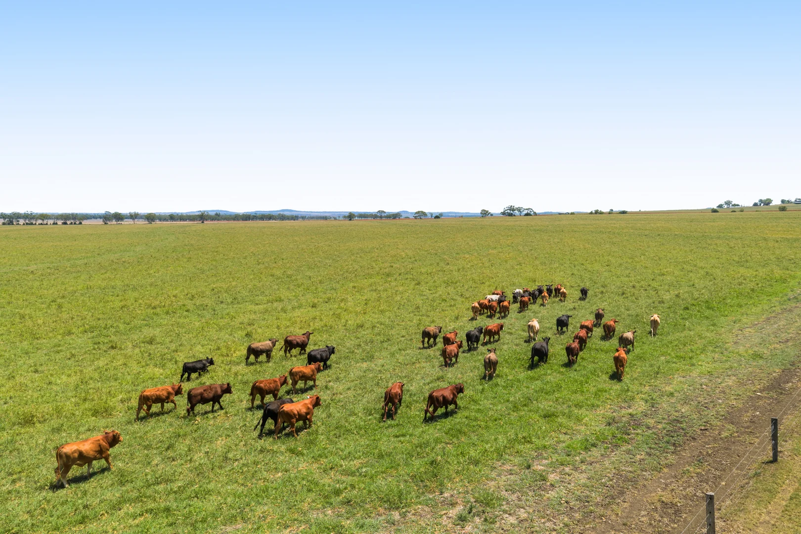 Additional image 30 of 'Ashby' 48 Felton View Road, Ellangowan QLD 4361