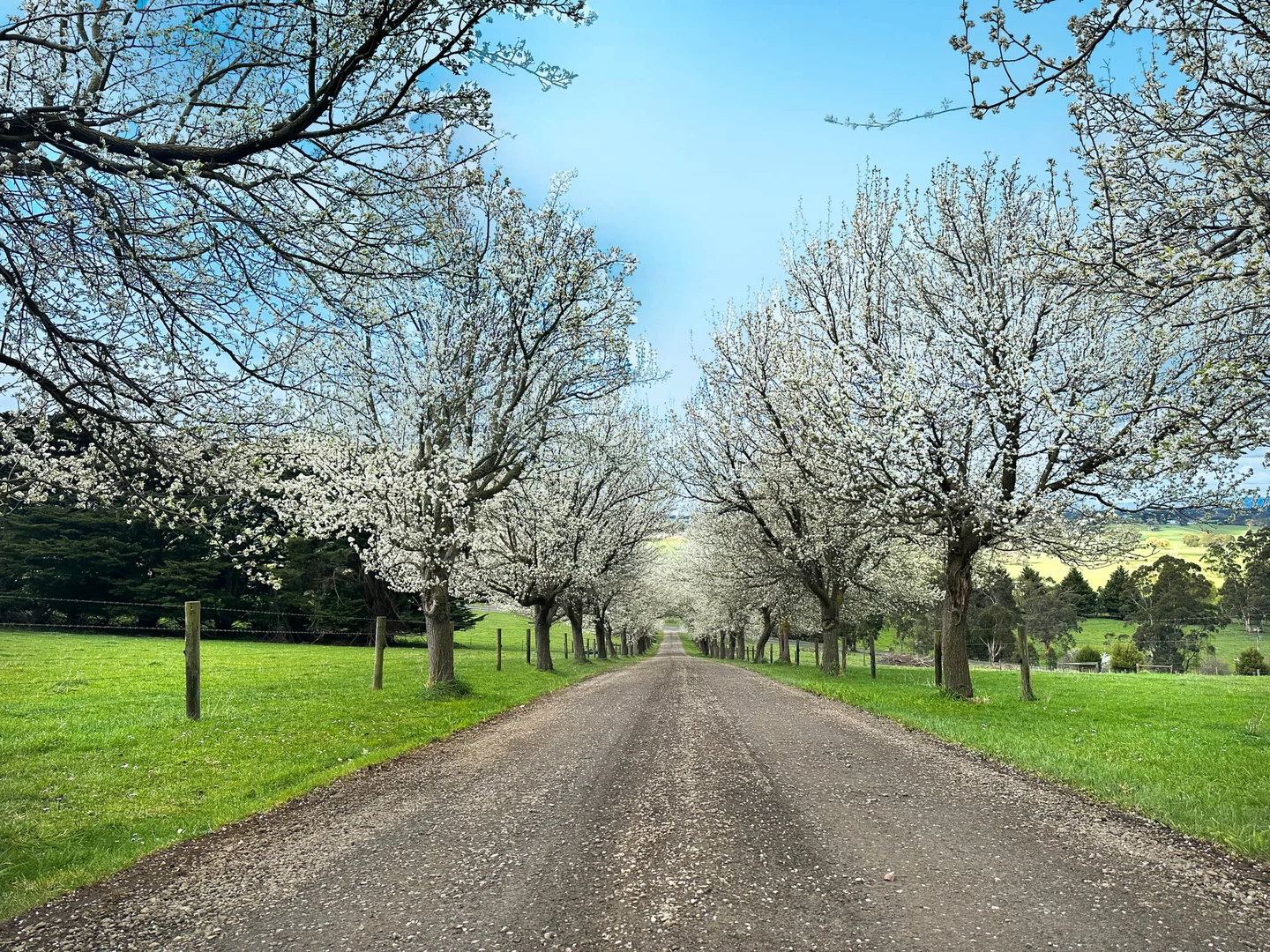 Additional image 20 of 145 Christies Road, Warragul VIC 3820