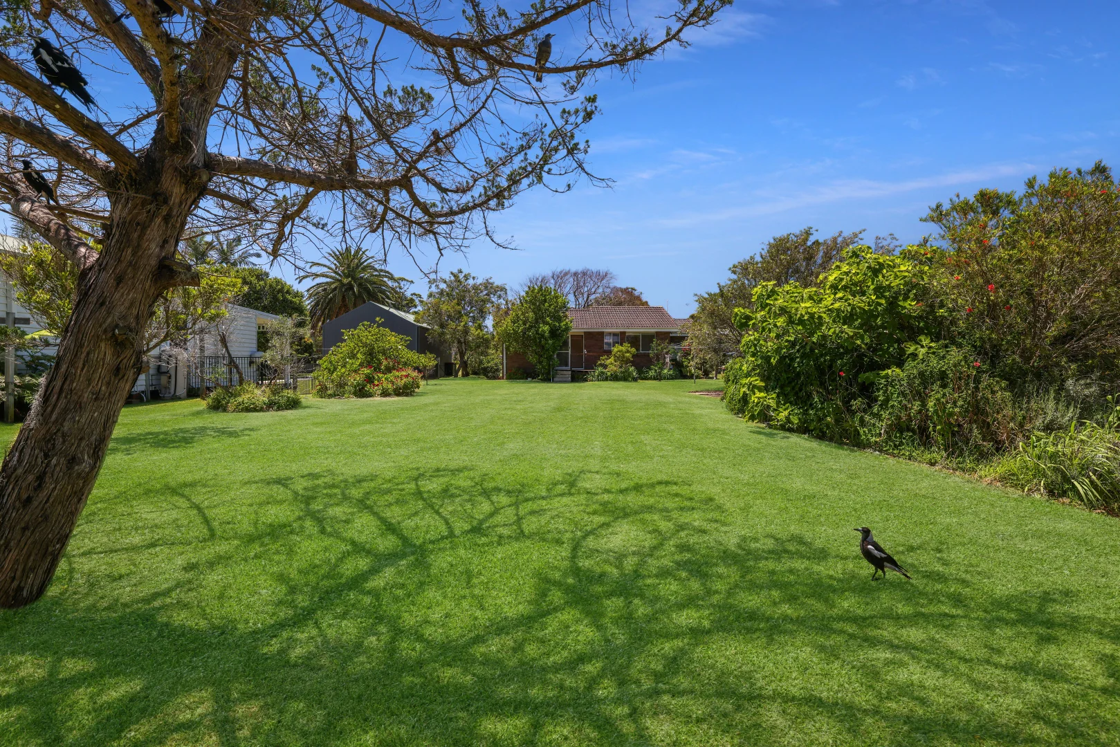 Additional image 7 of 49 Addison Road, Culburra Beach NSW 2540