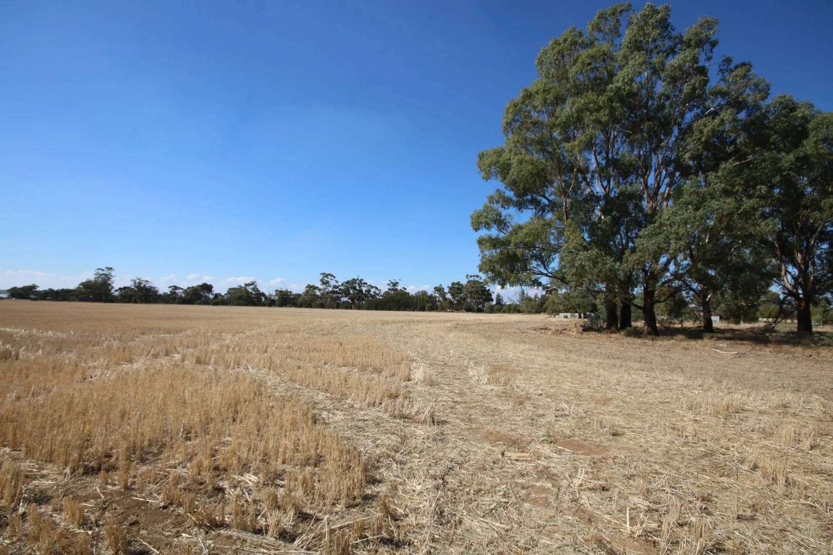 Additional image 34 of Lot 43 O'Donnell Rd, Rochester VIC 3561