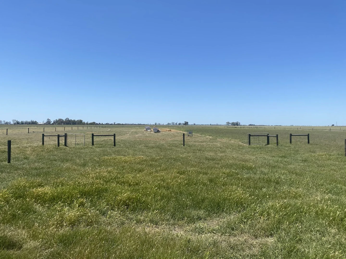 Additional image 9 of 1408 Kerang-Murrabit Road, Westby VIC 3579