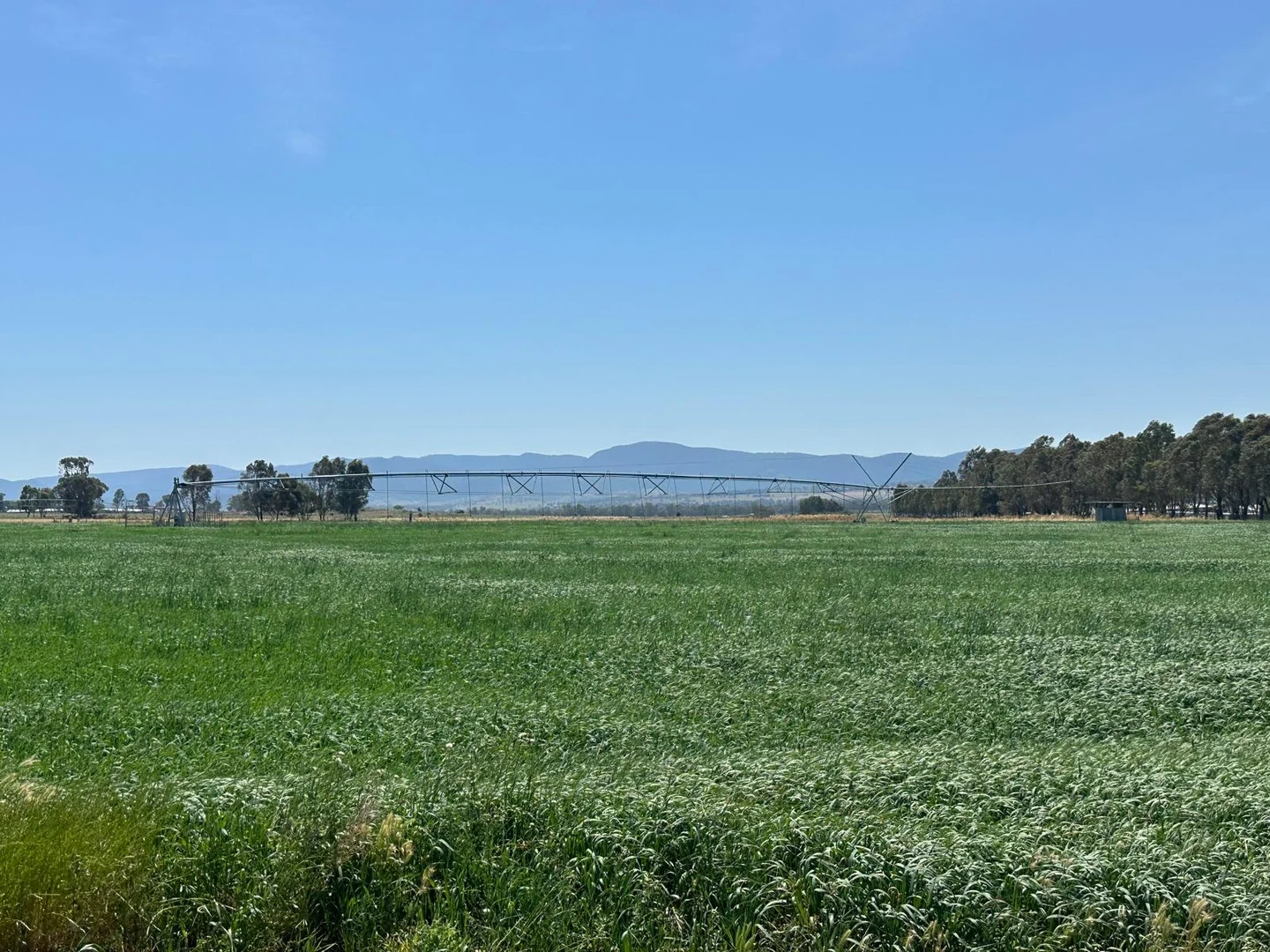 Additional image 11 of 1480 Oxley Highway, Tamworth NSW 2340