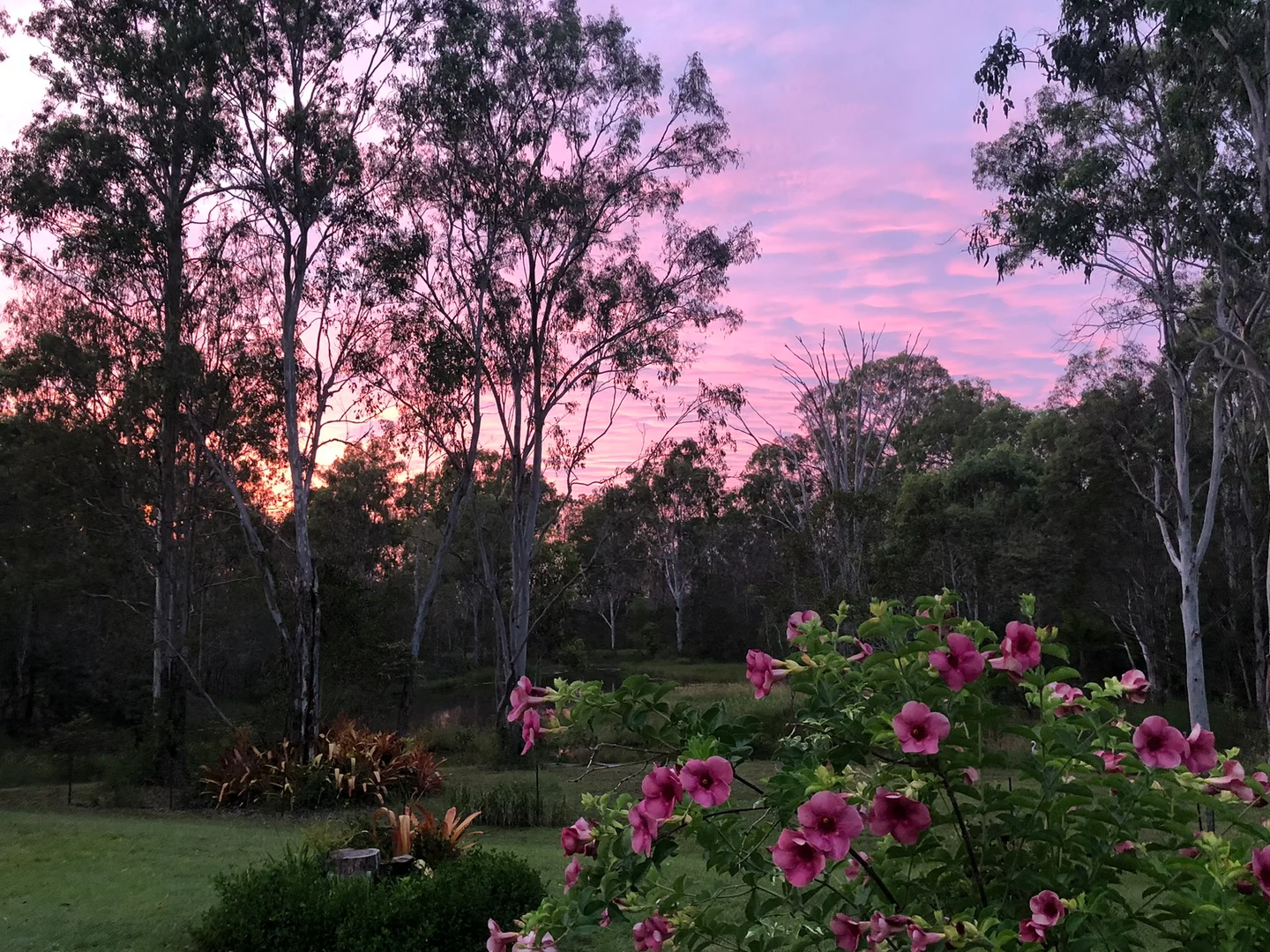 Additional image 24 of 847 Old Gympie Road, Paterson QLD 4570