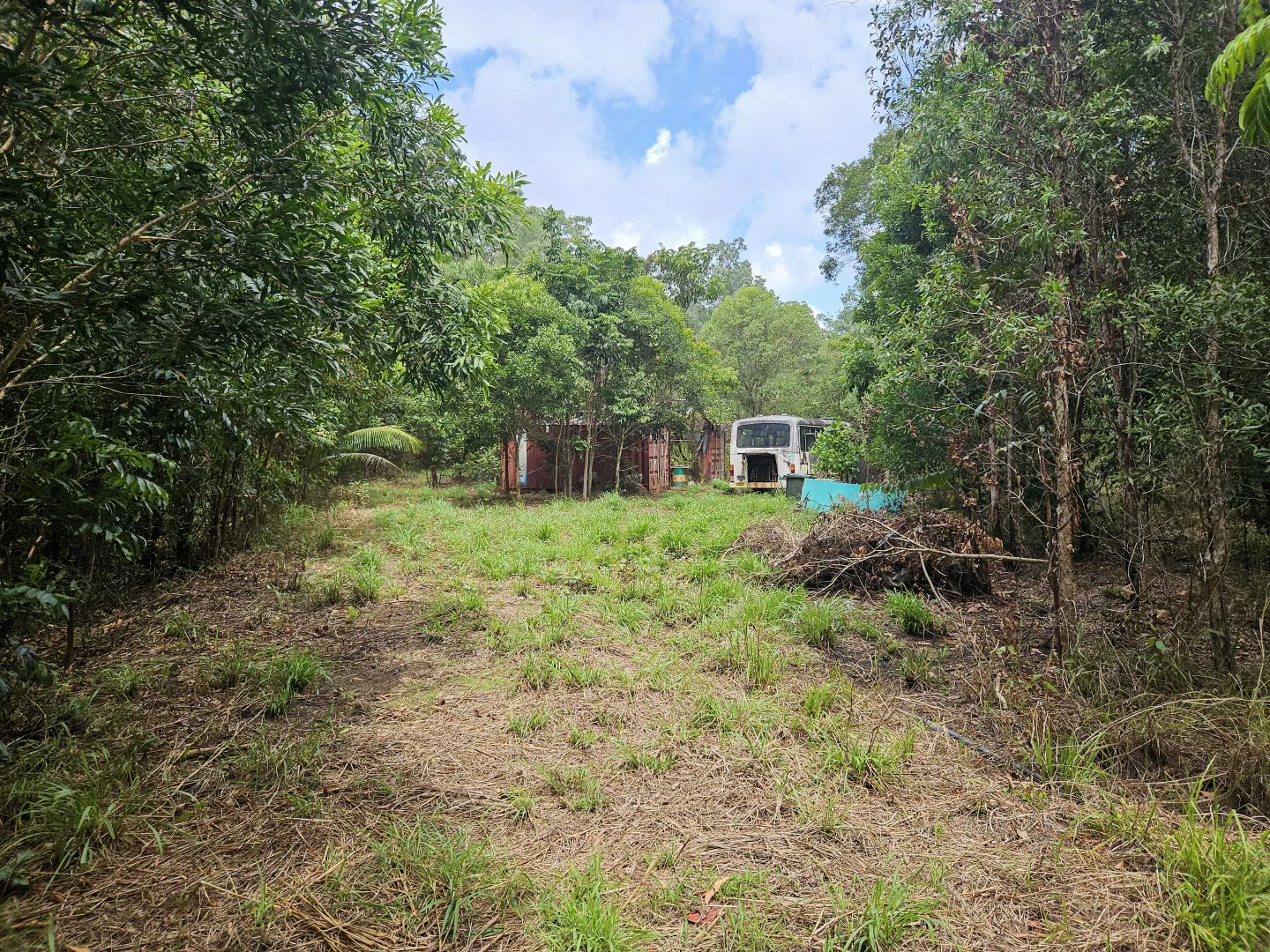 Additional image 5 of 2401 Rossville Bloomfield Road, Bloomfield QLD 4895