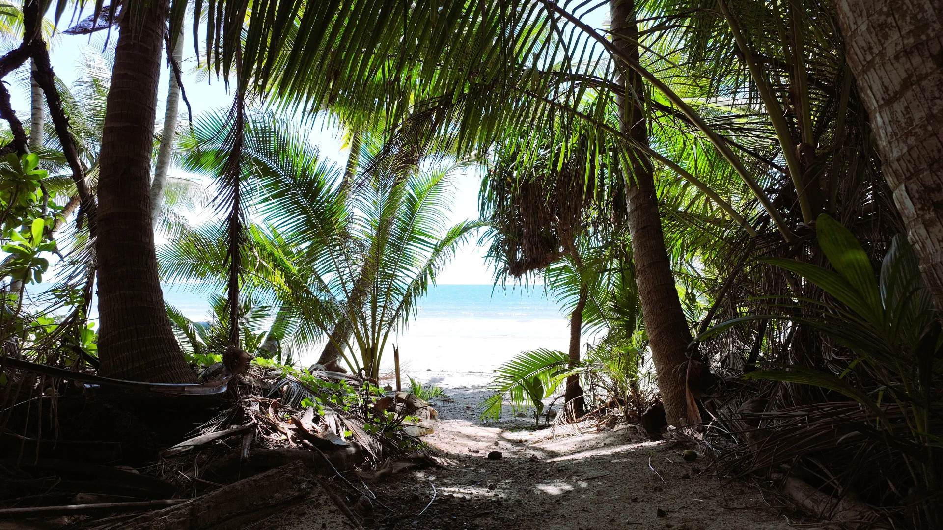 Additional image 3 of Mirage Villa 129, Bougainvillea Way East, Port Douglas QLD 4877