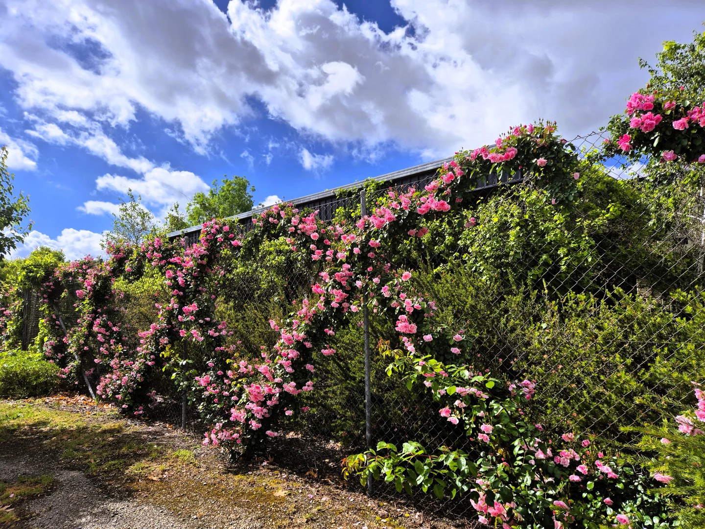 Additional image 21 of 249 Riverside Drive, Jugiong NSW 2726