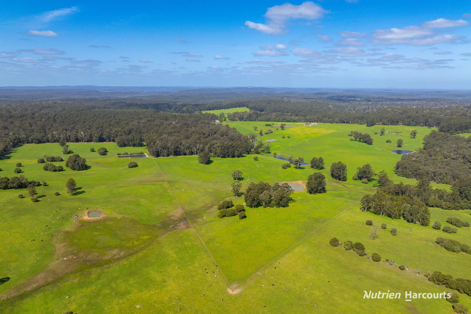 Additional image 6 of 1545 Muirillup Road, Boorara Brook WA 6262