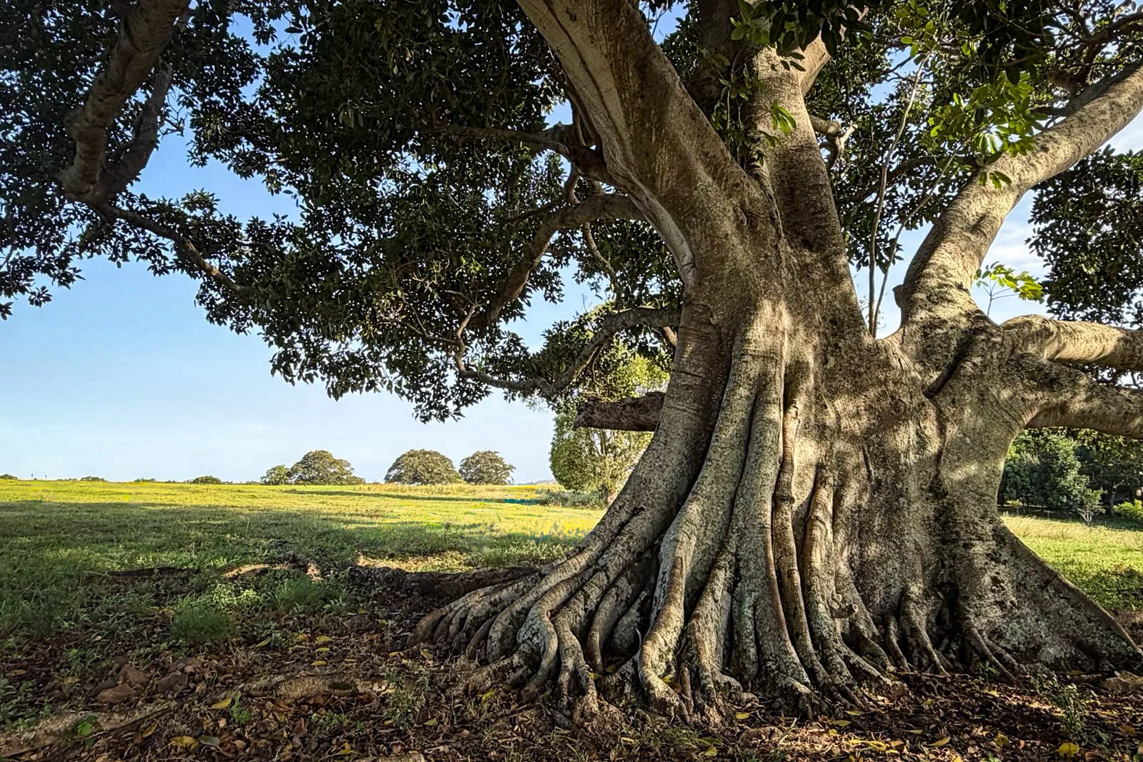 Additional image 15 of 160 Quarry Lane, Ewingsdale NSW 2481