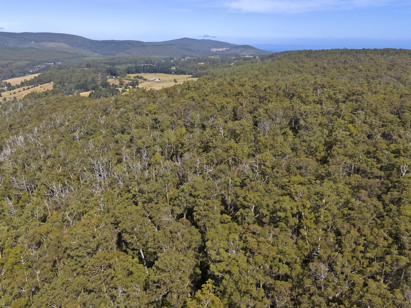 Additional image 27 of 2 and 3 White Beach Road, White Beach TAS 7184