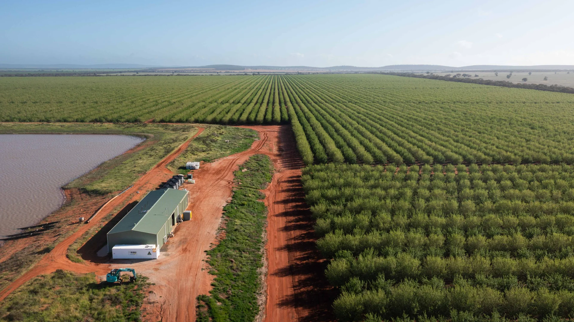 Additional image 6 of Griffith NSW 2680