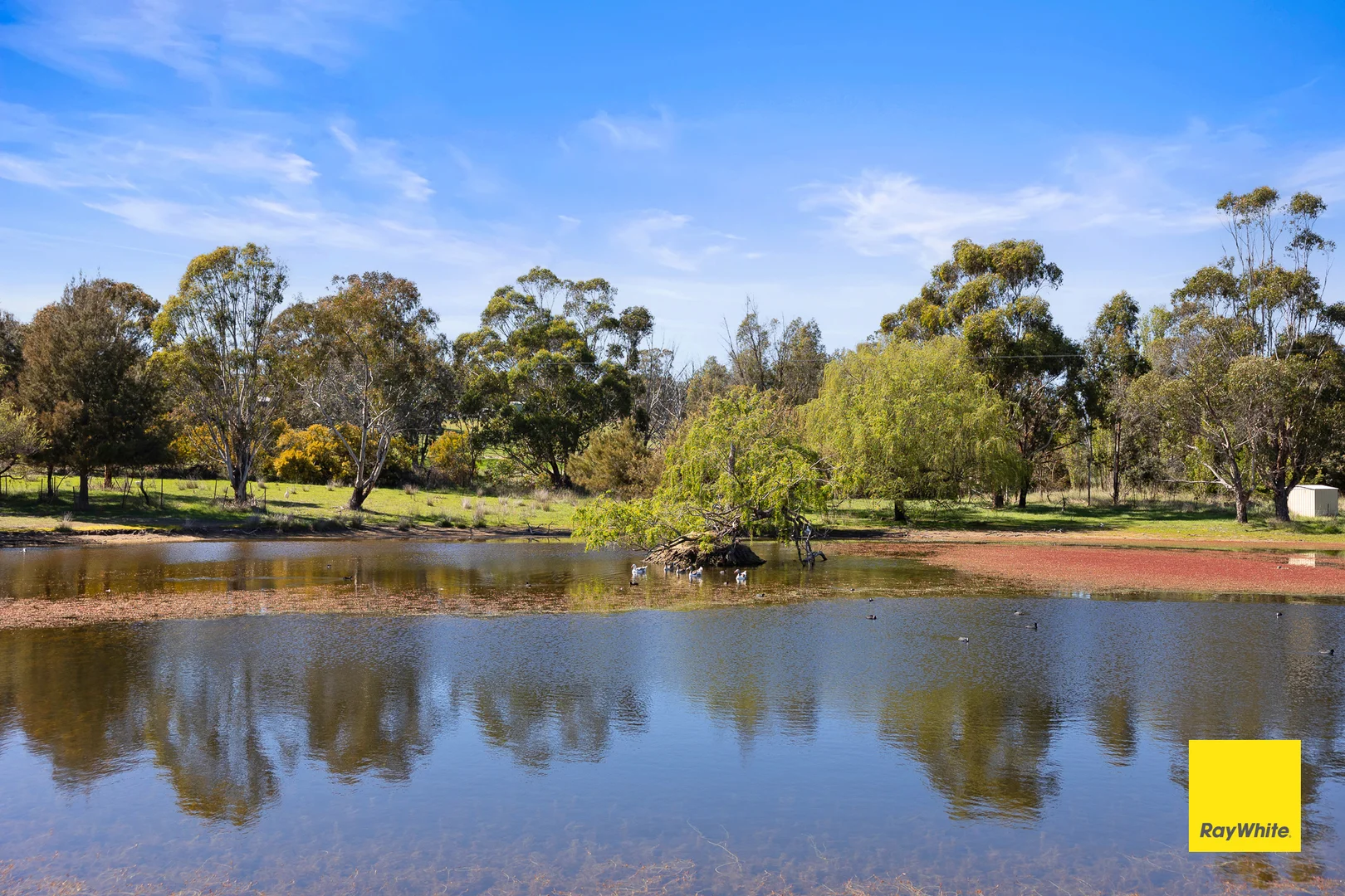 Additional image 13 of 63 Creekborough Road, Bywong NSW 2621