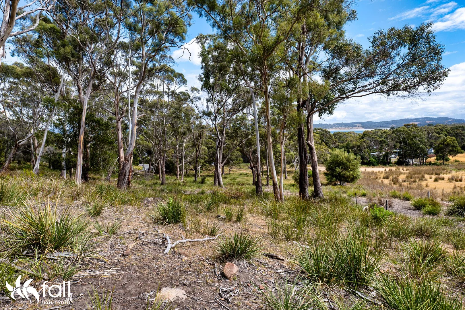 Additional image 11 of Lot 5 Blyth Parade, Great Bay TAS 7150