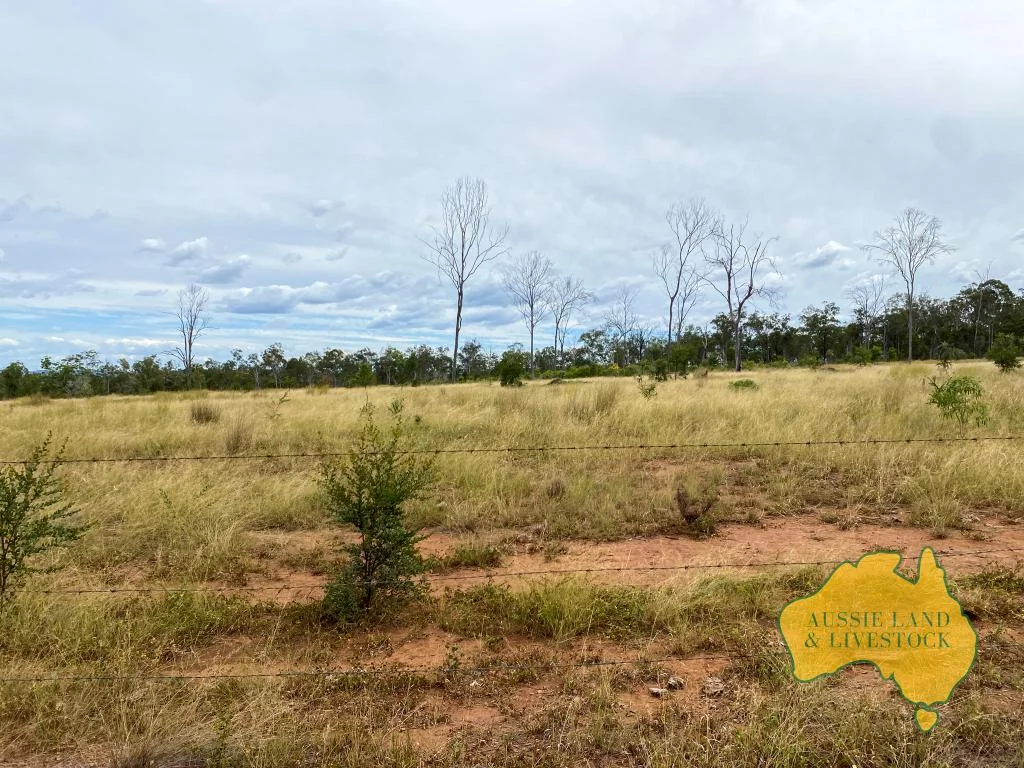 Additional image 13 of 2360 MONTO MOUNT PERRY ROAD, Yarrol QLD 4630