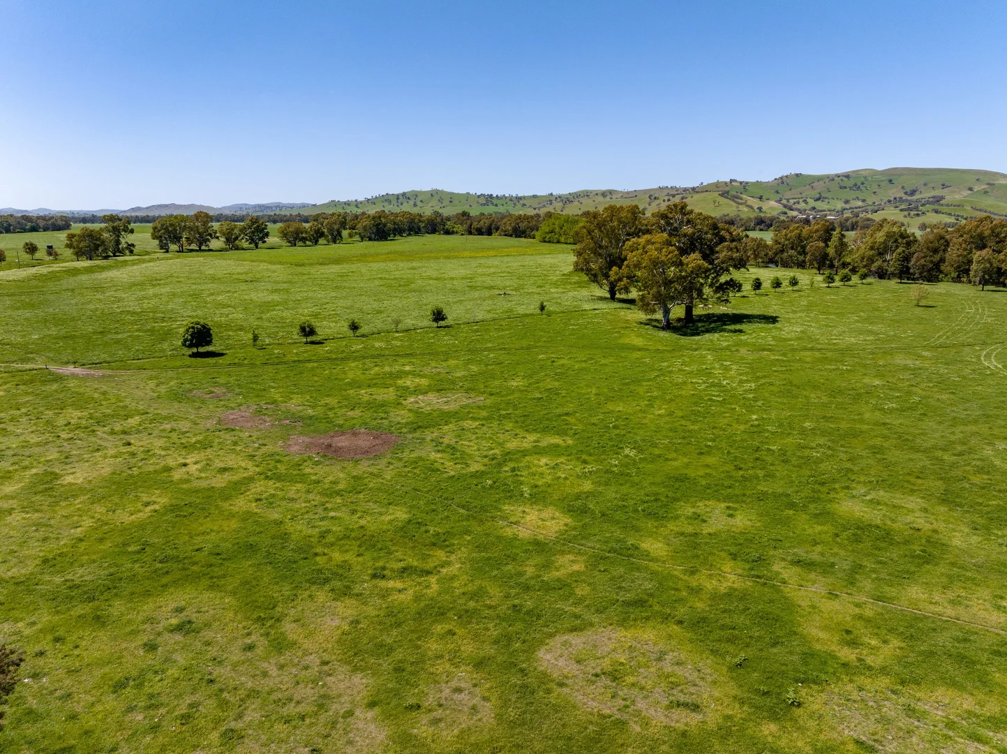 Additional image 25 of 44 Dodd Street, Gundagai NSW 2722