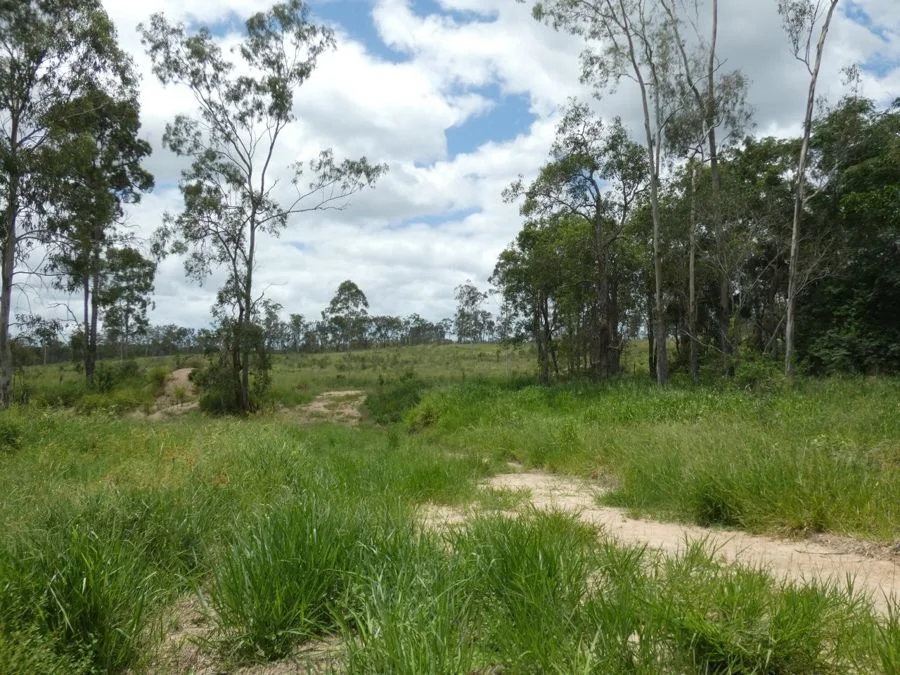 Additional image 9 of Lot 43 Moolyung Road, Waterloo QLD 4673