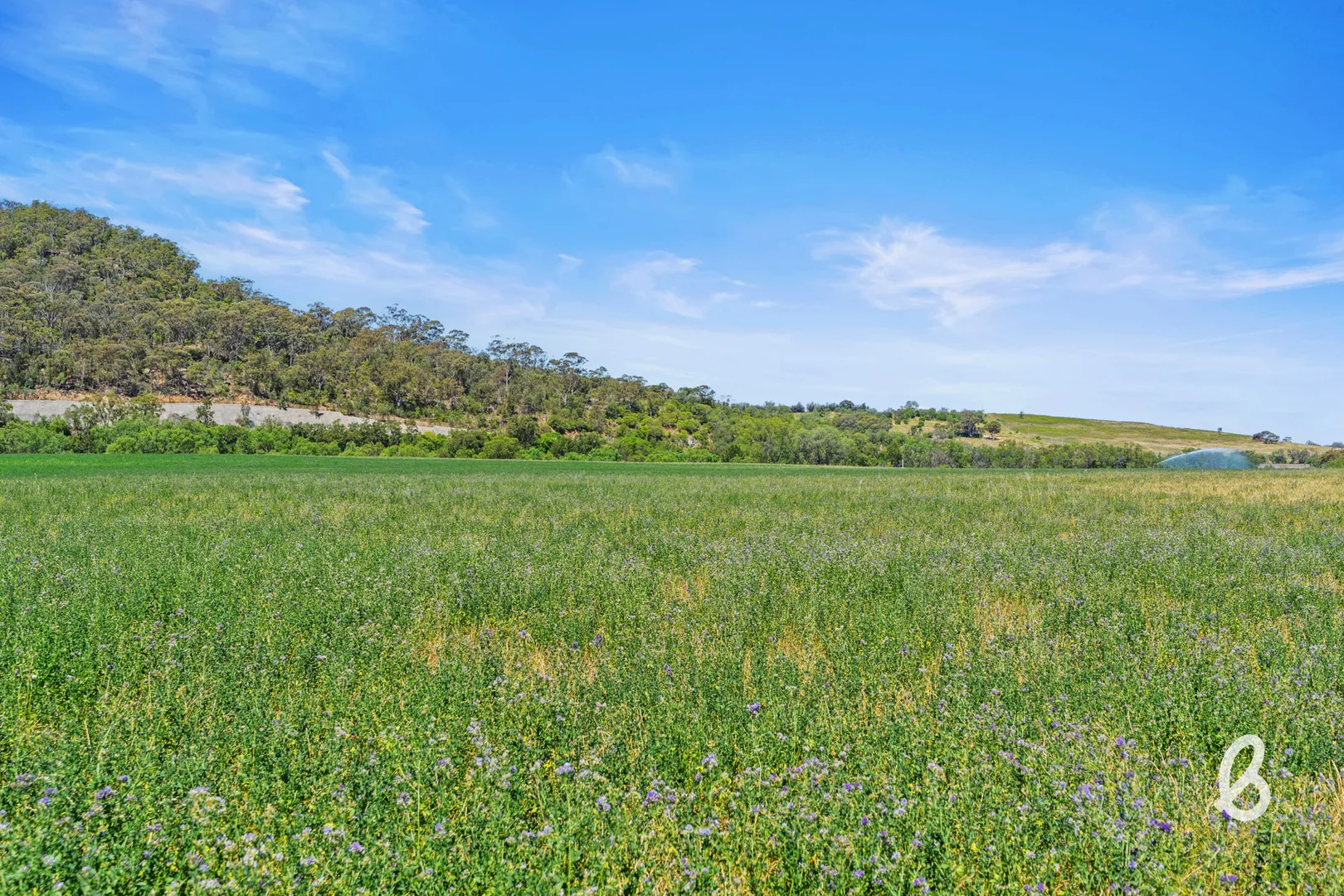 Additional image 5 of 562 Yarrawa Road, Yarrawa NSW 2328