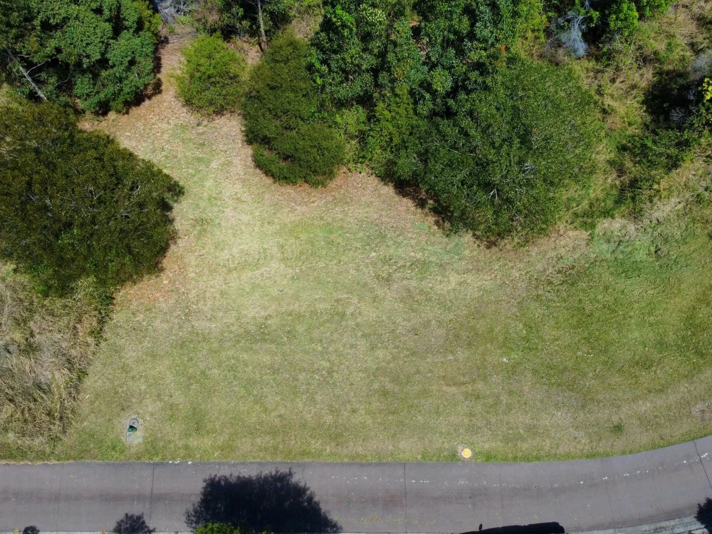 4 Barrington Crescent, Tallwoods Village NSW 2430