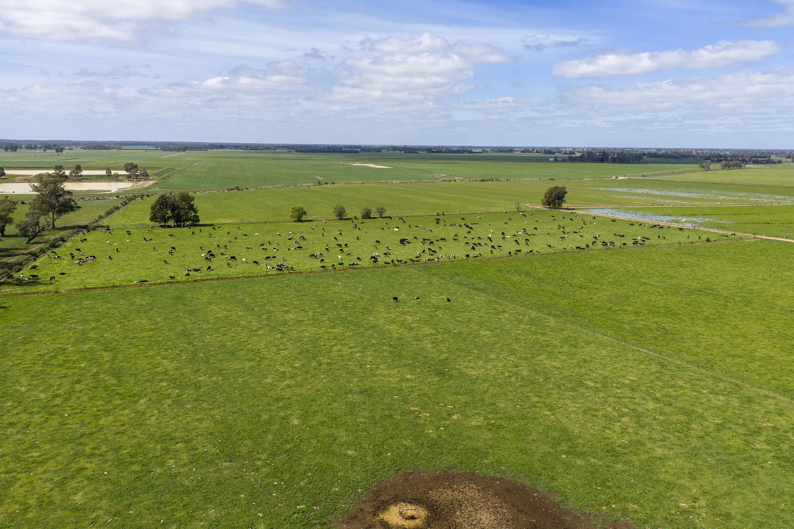 Additional image 8 of 1563 Scobie Road, Tongala VIC 3621