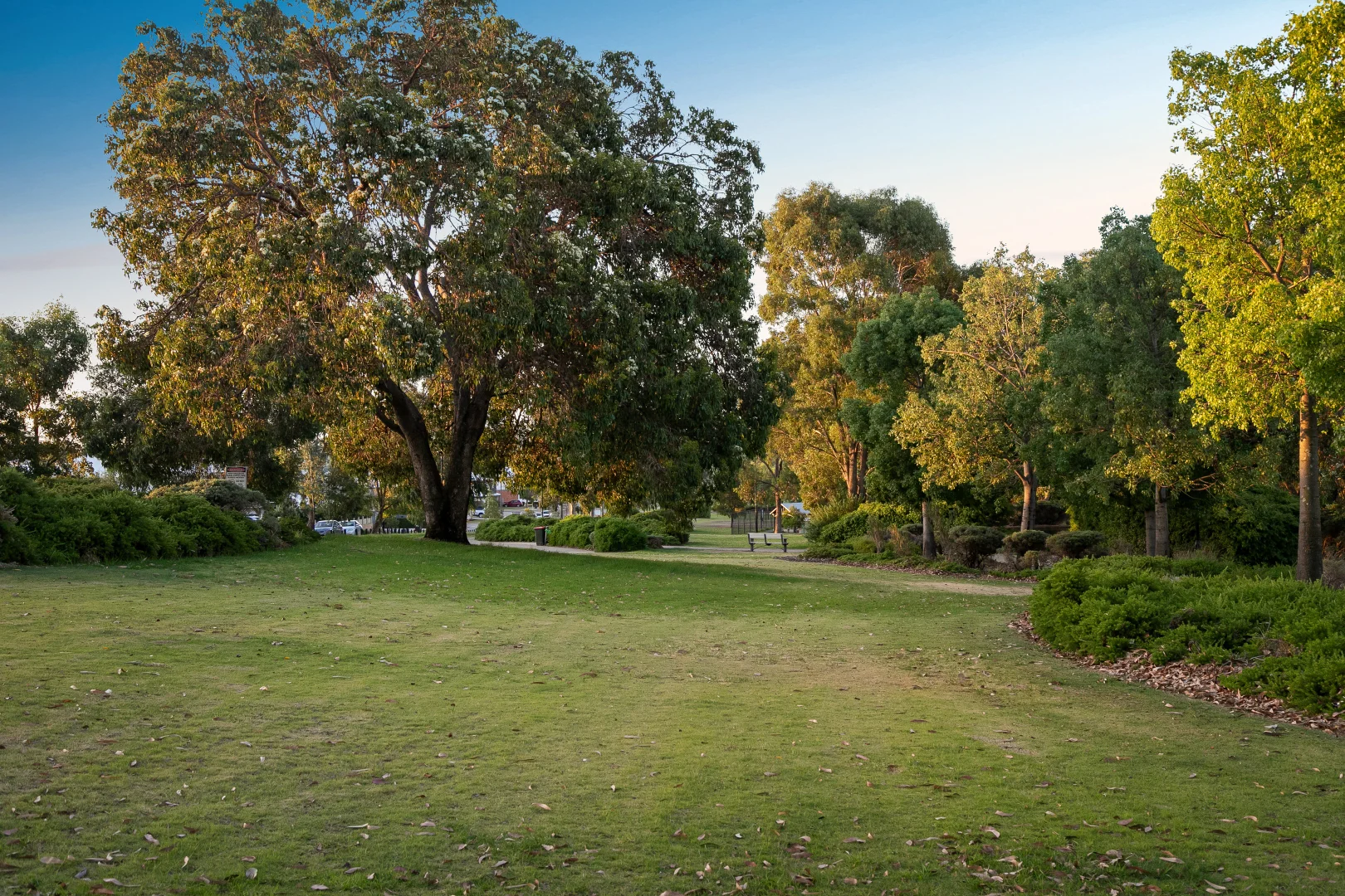 Additional image 24 of 50 Acrasia Road, Baldivis WA 6171