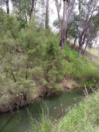 Additional image 38 of 67 Ulampa Creek Road, Nukku QLD 4314