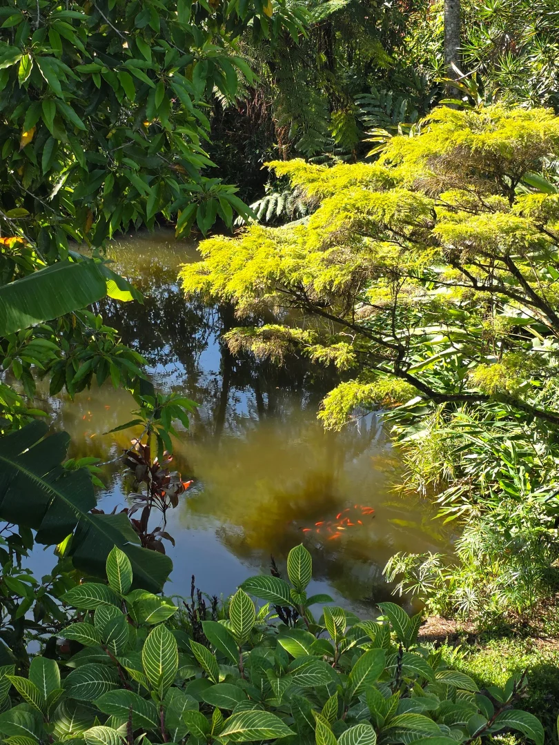 Additional image 26 of 94 Ellinjaa Road, Ellinjaa QLD 4886