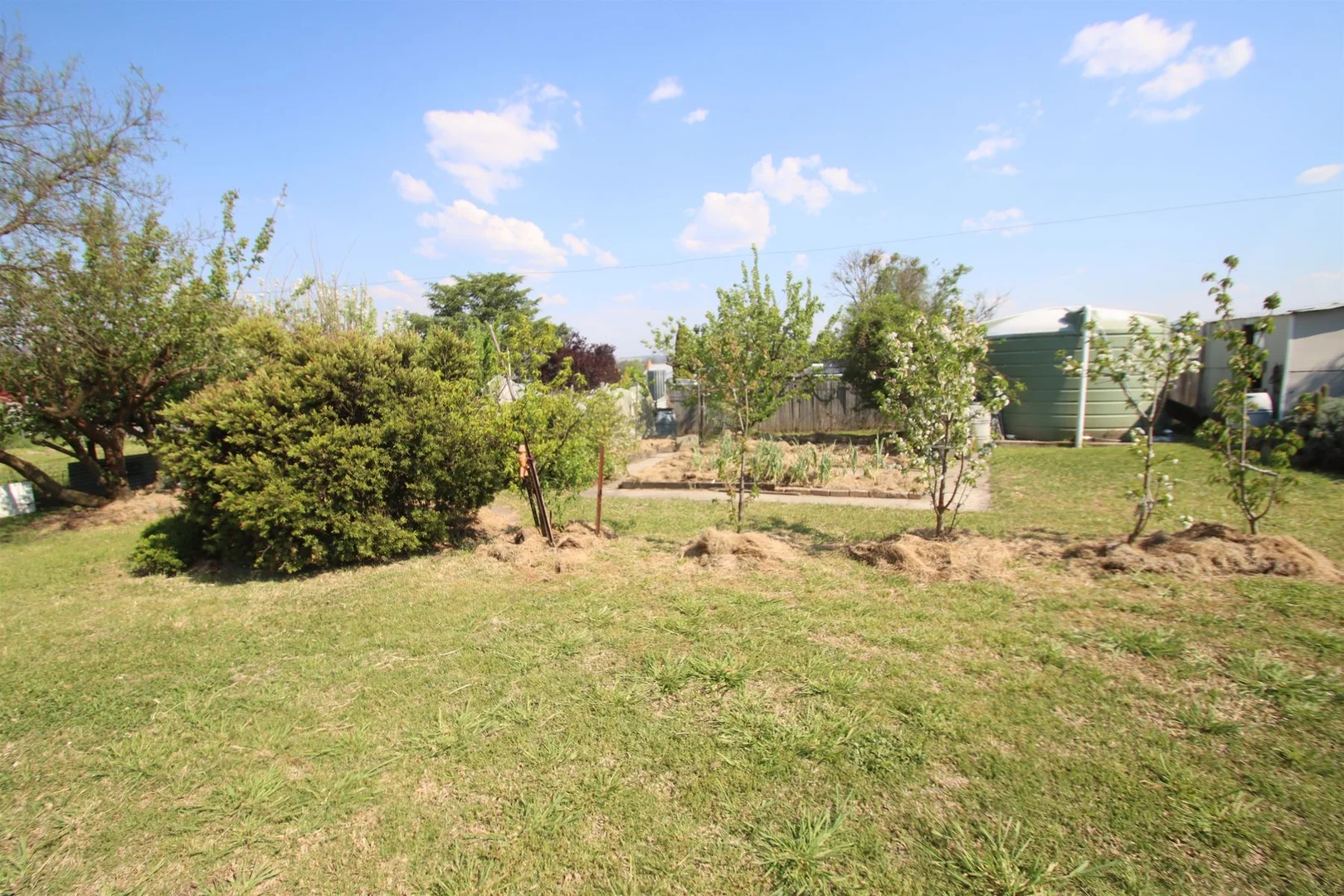 Additional image 27 of 89 Pelham Street, Tenterfield NSW 2372