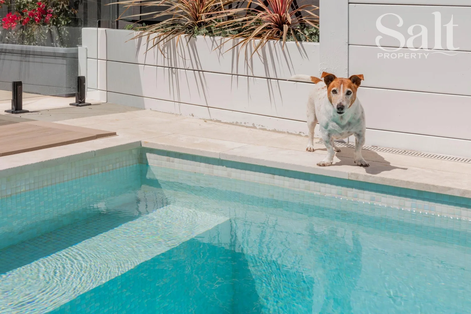 Additional image 28 of 46A Edward Street, Merewether NSW 2291