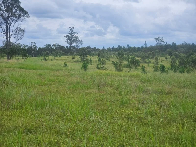 Additional image 13 of 0 Davis Road, Bauple Forest QLD 4650