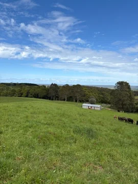 Additional image 3 of 226 Hursts Road, Lileah TAS 7330