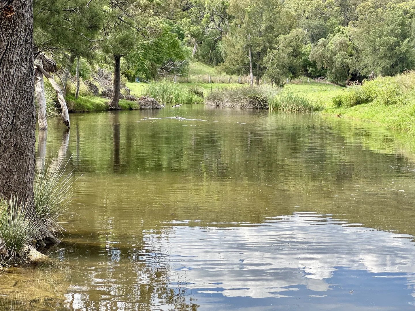 Additional image 26 of "Gap View" Wells Gully Road, Muswellbrook NSW 2333