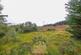 Additional image 9 of Sutherland IV27