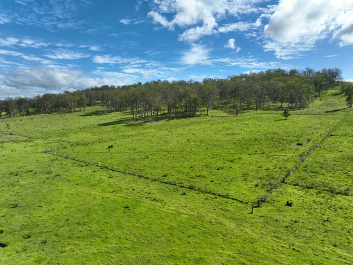 Additional image 4 of 2926 & 2933 Sextonville Road, Woolners Arm NSW 2470