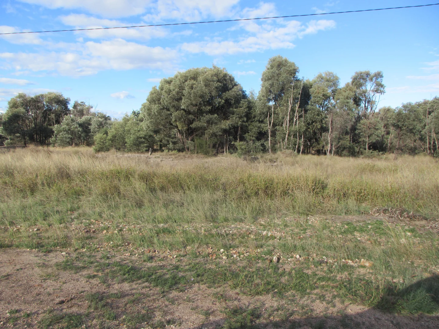 Additional image 2 of Lot 43 TULLAGRIE Road, Tara QLD 4421