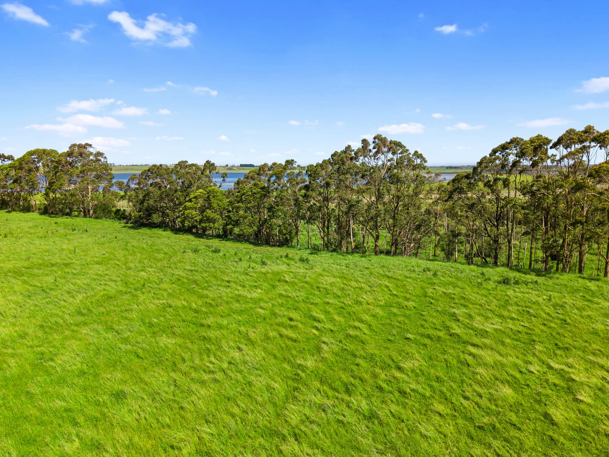 Additional image 6 of 2 Cobden-South Ecklin Road, Elingamite North VIC 3266