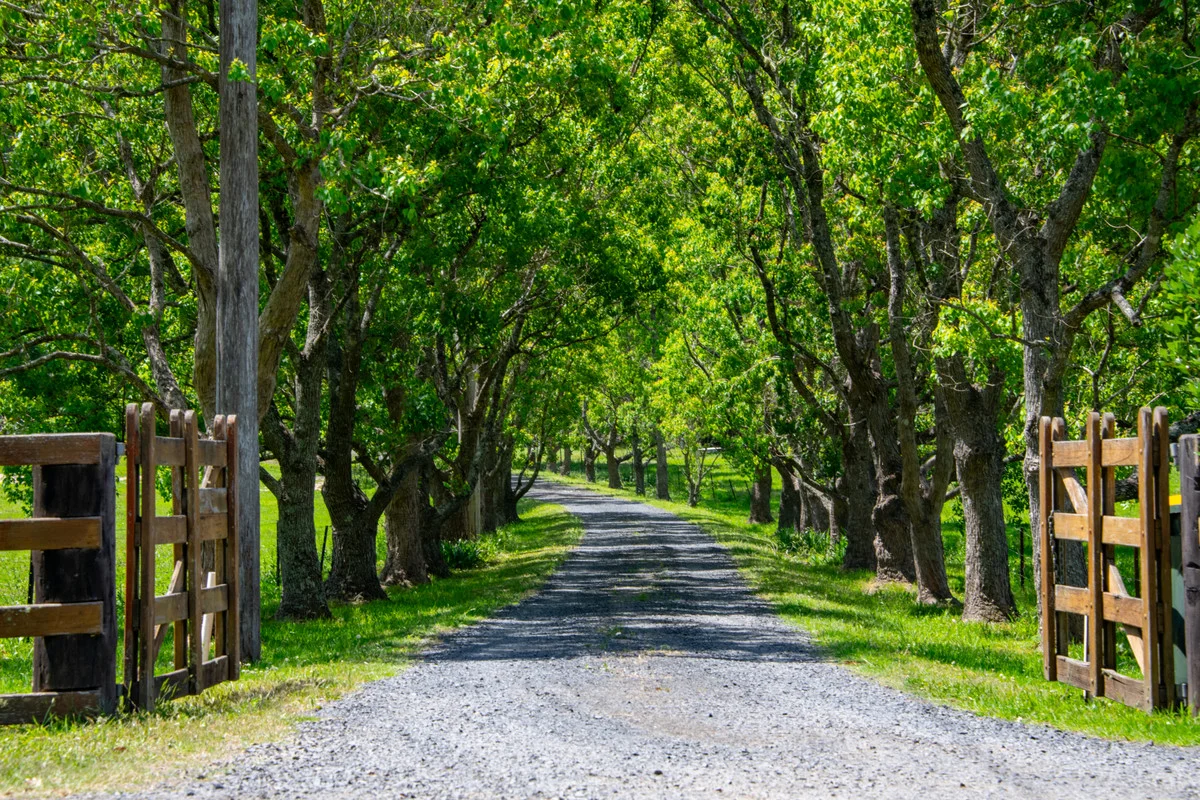 Additional image 32 of 111 Bunning Creek Road, Yarramalong NSW 2259