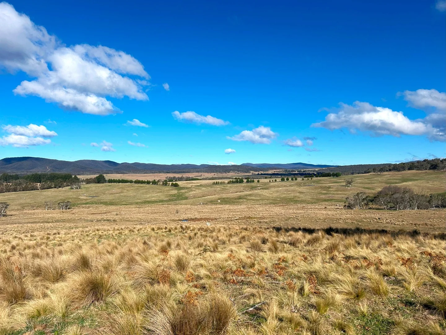 Additional image 5 of 11 & 128 Stoney Ridge Road, Braidwood NSW 2622