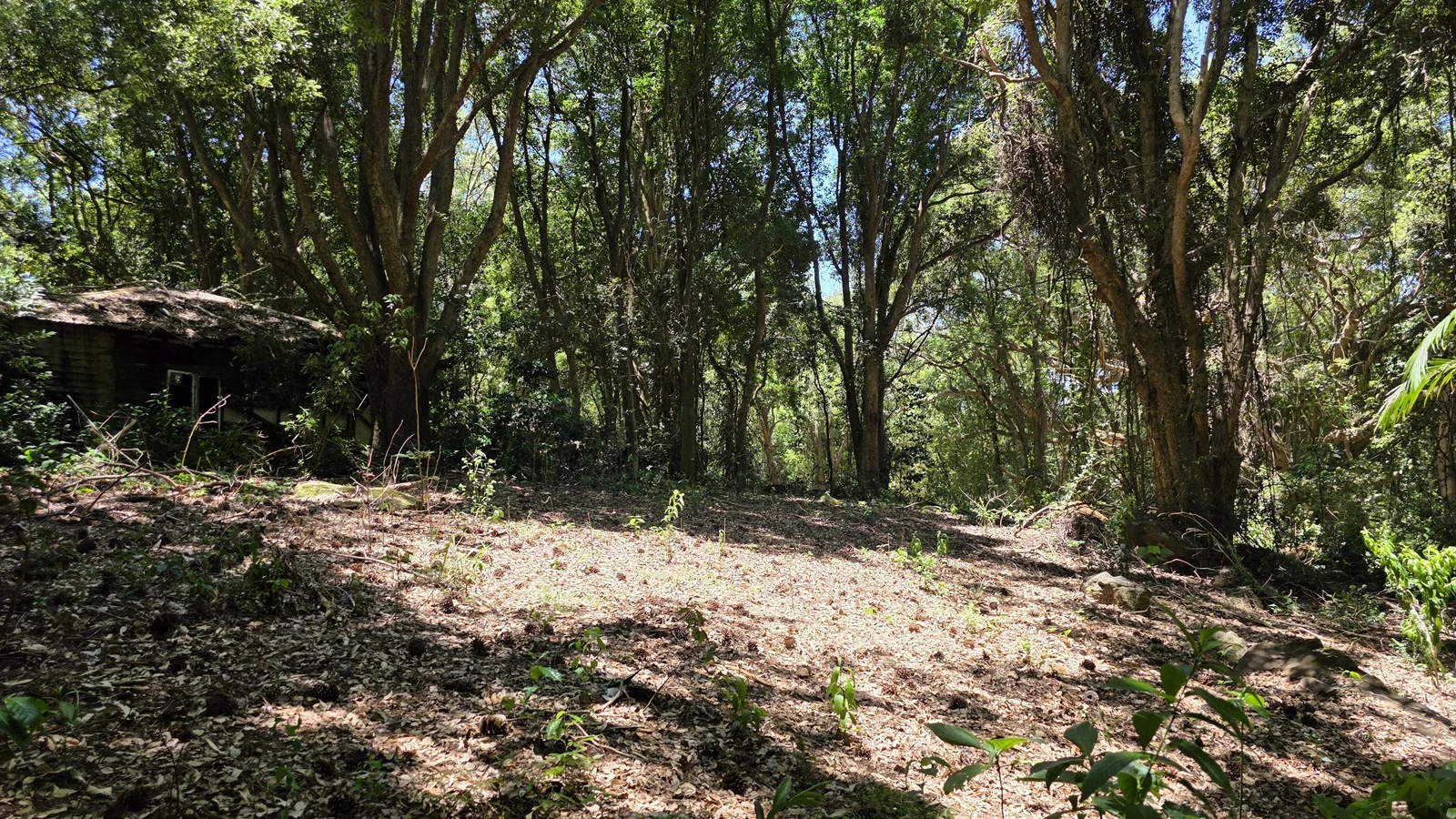 Additional image 10 of 70 North Teven Road, Teven NSW 2478