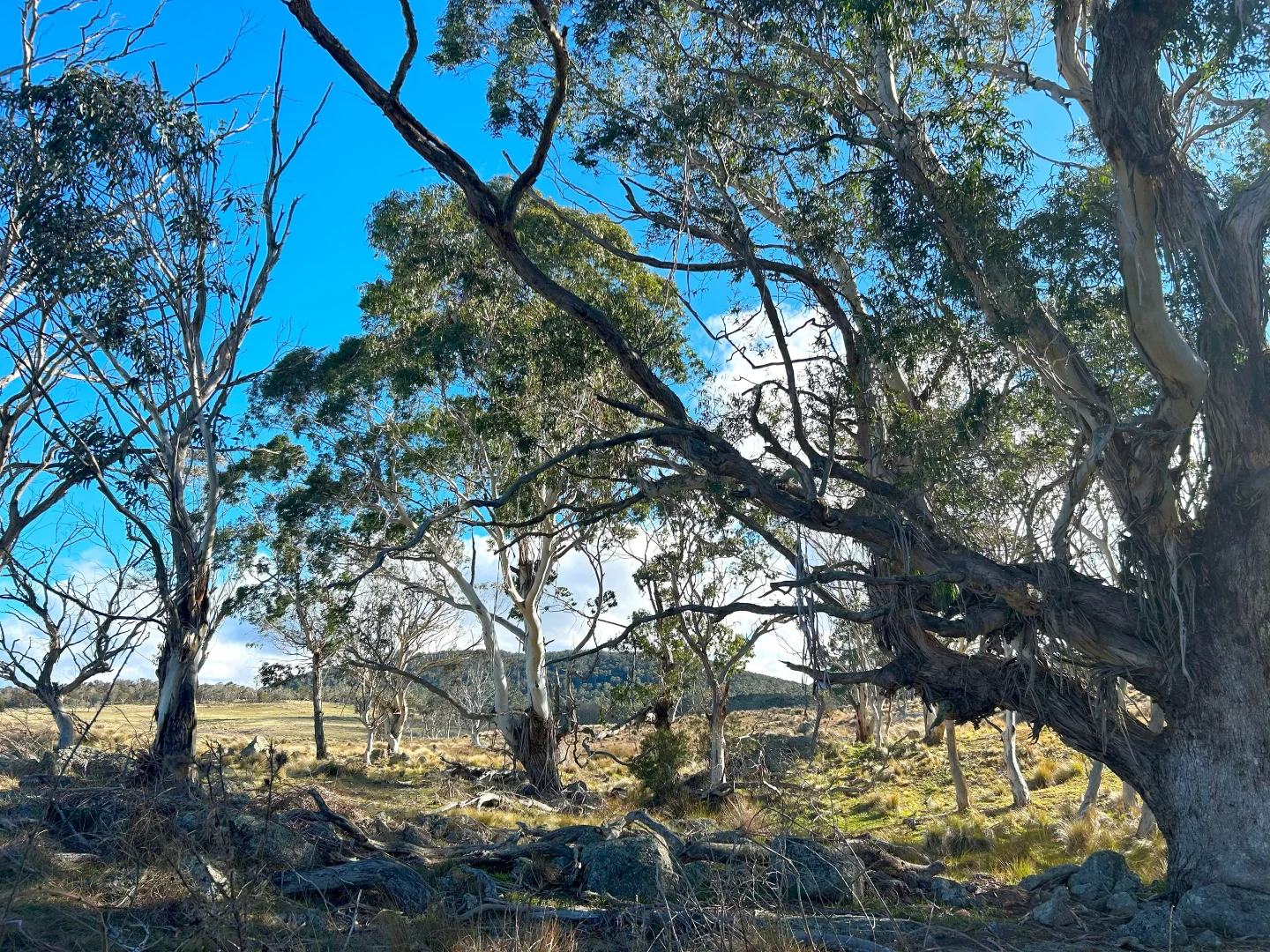 Additional image 15 of 11 & 128 Stoney Ridge Road, Braidwood NSW 2622