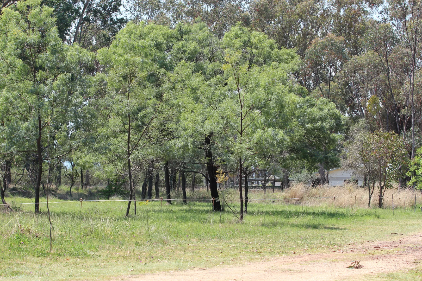 Additional image 30 of 121 Orchard Place, Inverell NSW 2360