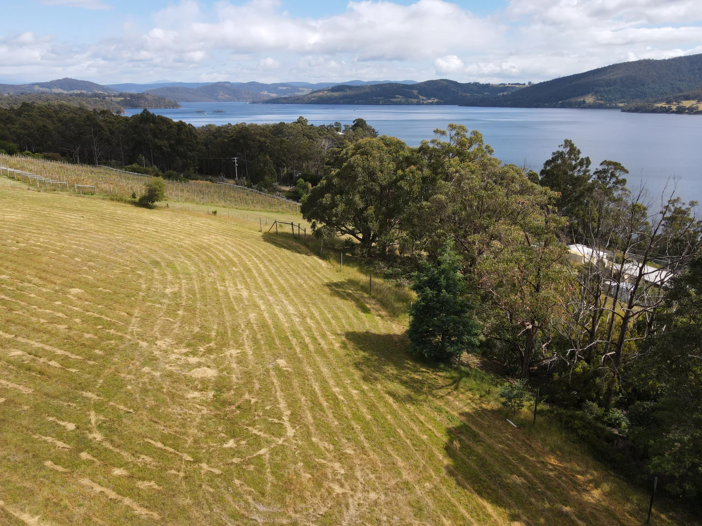 Additional image 8 of 23A White Cliffs Road, Brooks Bay TAS 7116