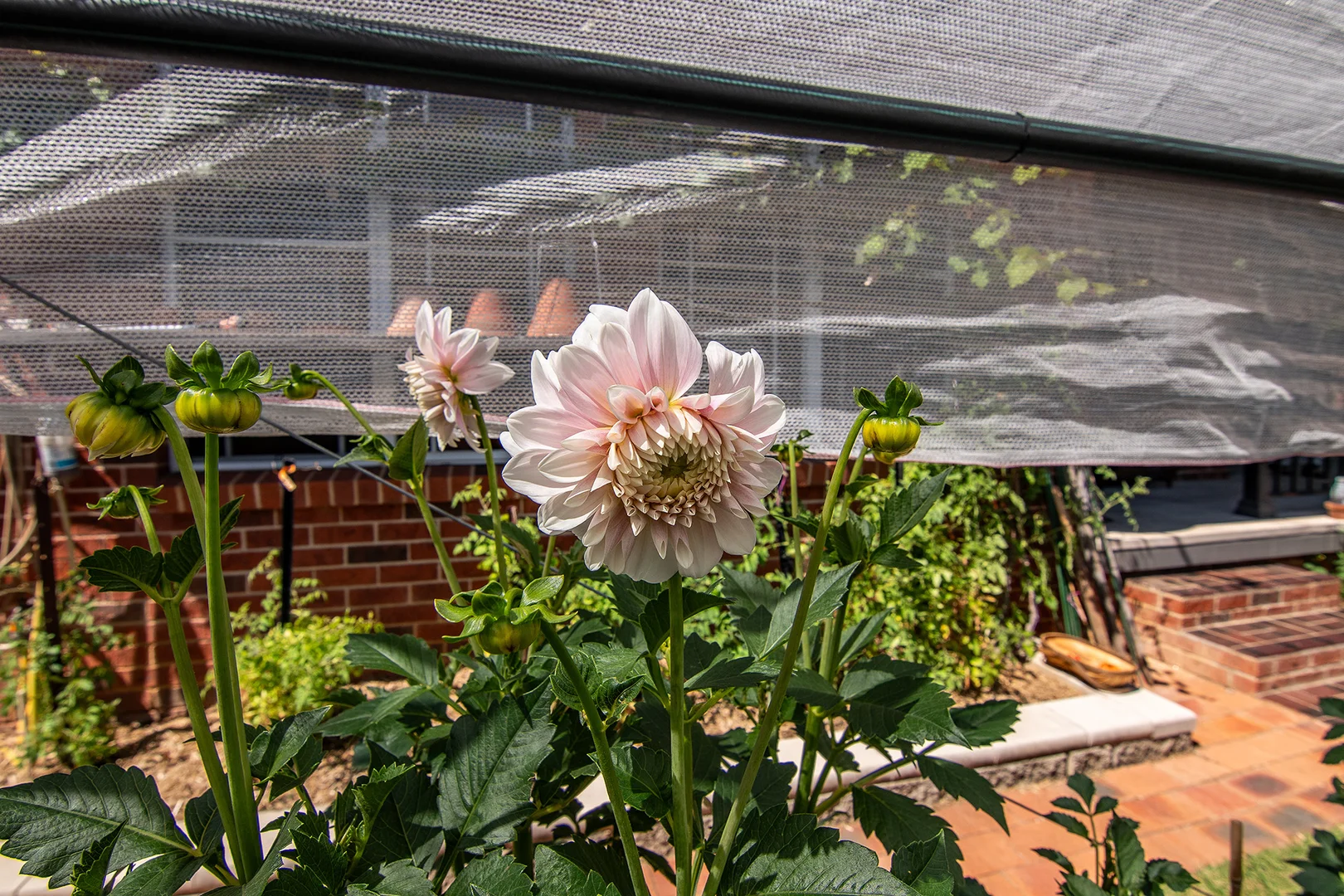 Additional image 16 of 6 Cedar Avenue, Mudgee NSW 2850