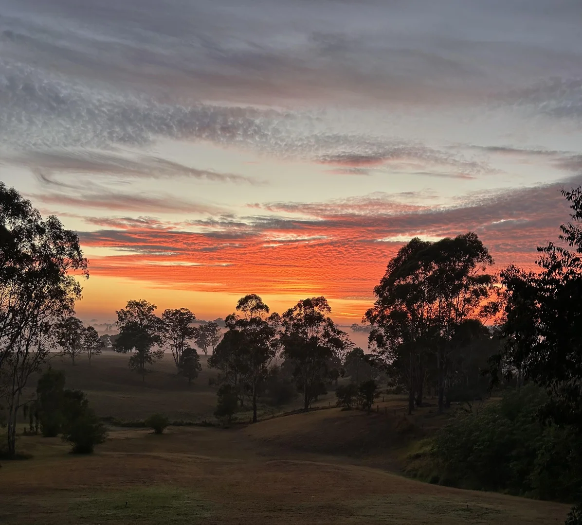 Additional image 19 of 33 Koree Island Road, Beechwood NSW 2446